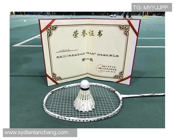 深圳羽毛球队实力分析与表现评估探讨